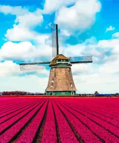 Kinderdijk Tulips Diamond Painting