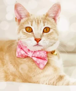 Kitten With Bow Tie Diamond Painting