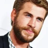 Liam Hemsworth Diamond Painting