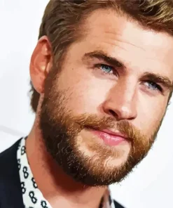 Liam Hemsworth Diamond Painting