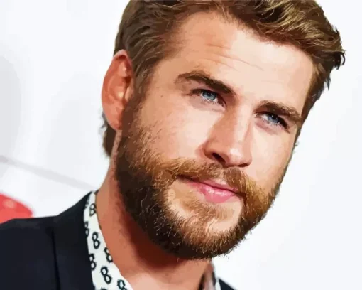 Liam Hemsworth Diamond Painting