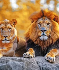 Lion And Lioness Diamond Painting