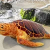 Loggerhead Sea Turtle Diamond Painting