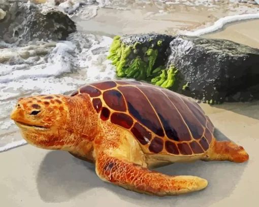 Loggerhead Sea Turtle Diamond Painting