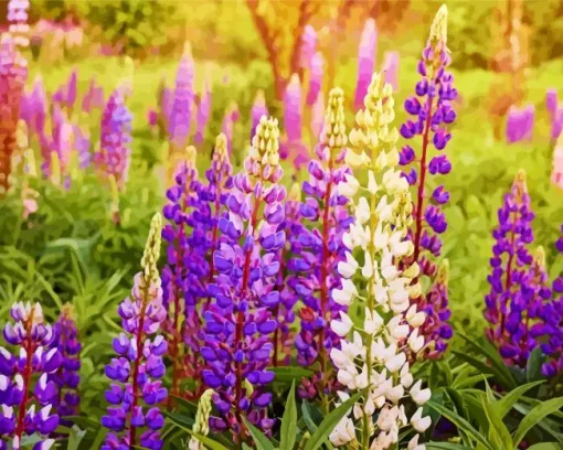 Lupine Flowers Diamond Painting