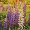 Lupine Flowers Diamond Painting