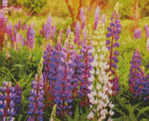 Lupine Flowers Diamond Painting
