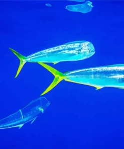 Mahi Mahi Fishes Diamond Painting
