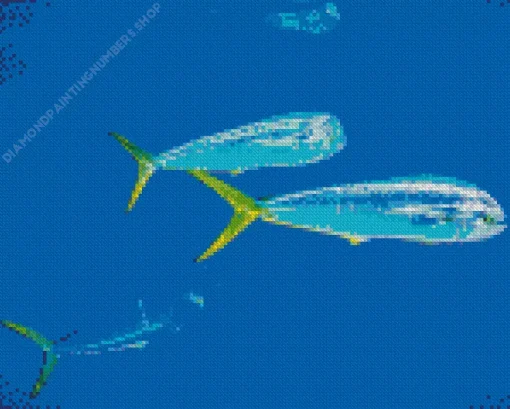 Mahi Mahi Fishes Diamond Painting
