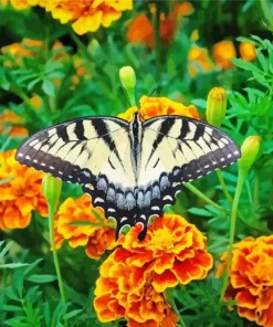 Marigold Flower Diamond Painting
