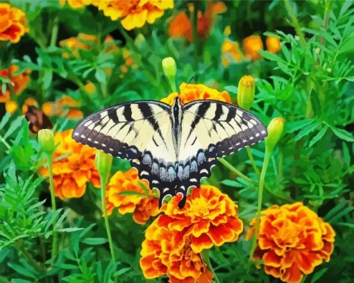 Marigold Flower Diamond Painting