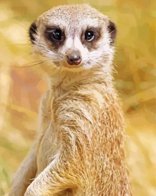 Meerkat Animal Diamond Painting
