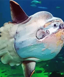 Mola Fish Diamond Painting