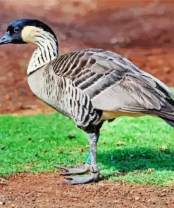 Nene Bird Diamond Painting