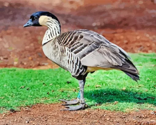 Nene Bird Diamond Painting