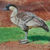 Nene Bird Diamond Painting