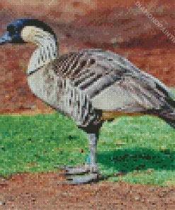 Nene Bird Diamond Painting