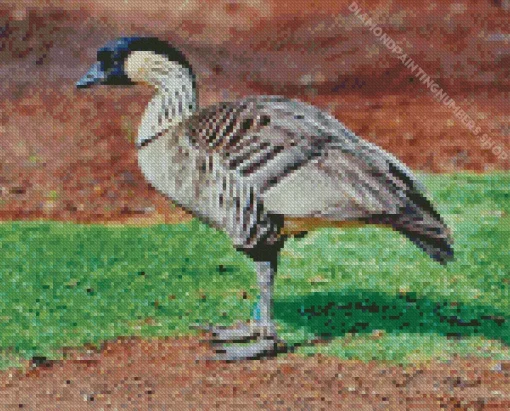Nene Bird Diamond Painting