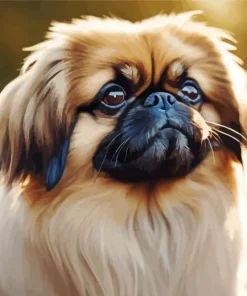 Pekingese Dog Diamond Painting