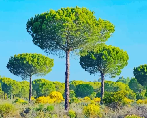 Pine Trees Diamond Painting