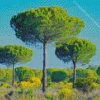 Pine Trees Diamond Painting