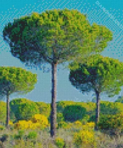 Pine Trees Diamond Painting