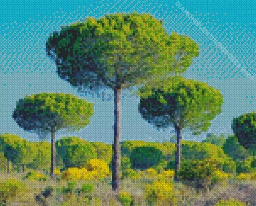 Pine Trees Diamond Painting