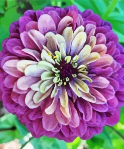 Purple Zinnia Flower Diamond Painting