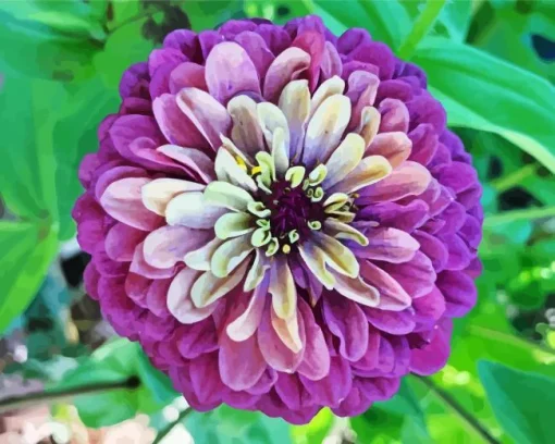 Purple Zinnia Flower Diamond Painting
