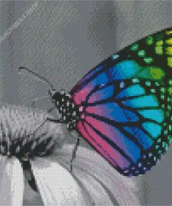 Rainbow Butterfly Diamond Painting