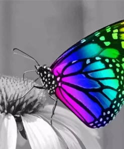 Rainbow Butterfly Diamond Painting