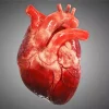Realistic Heart Diamond Painting