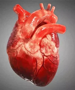 Realistic Heart Diamond Painting