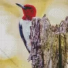 Red Headed Woodpecker Diamond Painting