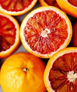 Red Orange Fruit Diamond Painting
