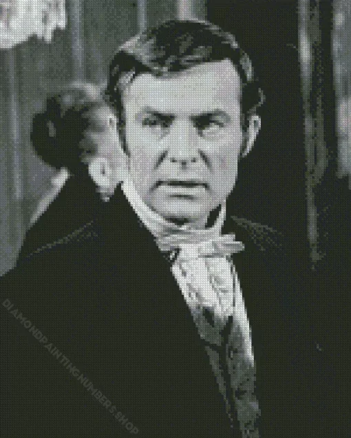Robert Conrad Diamond Painting