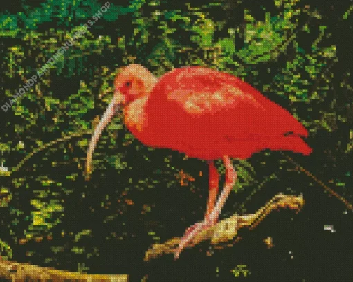 Scarlet Ibis Bird Diamond Painting
