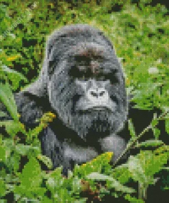 Silverback Gorilla Diamond Painting