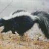 Striped Skunk Diamond Painting