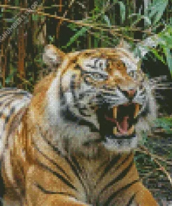 Tiger Roaring Diamond Painting