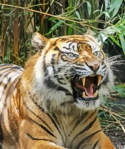 Tiger Roaring Diamond Painting