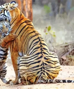 Tigers Hug Diamond Painting