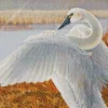 Tundra Swan Diamond Painting
