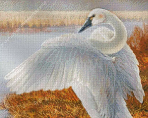Tundra Swan Diamond Painting