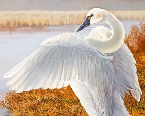 Tundra Swan Diamond Painting