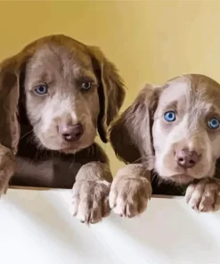Weimaraner Puppies Diamond Painting