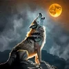 Wolf In The Moon Diamond Painting