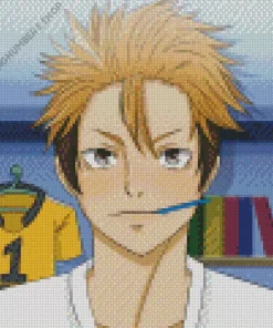 Yuji Terushima Diamond Painting