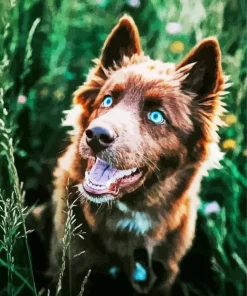 Brown Husky Diamond Painting