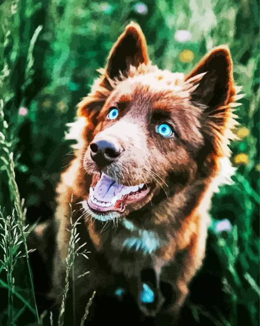Brown Husky Diamond By Numbers